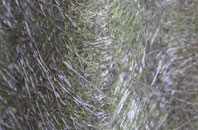 Maidenbower fibreglass roof work